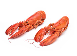 https://www.blueworldseafood.com/